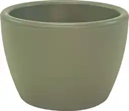 Intratuin Everydays by Intratuin bloempot Mario groen D 45 H 31 cm aanbieding