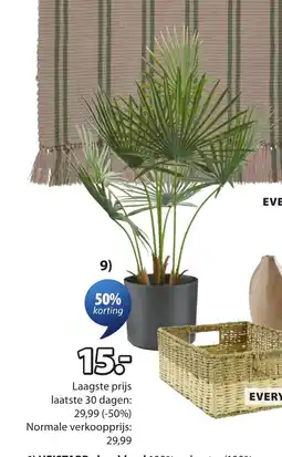 Jysk JAKOB kunstplant aanbieding