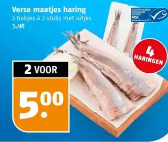 Poiesz Verse maatjes haring aanbieding