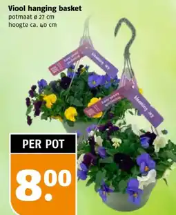 Poiesz Viool hanging basket aanbieding