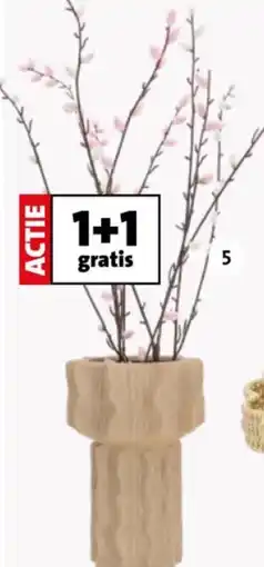 Intratuin Kunsttak wilgenkatjes. aanbieding