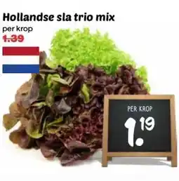 Coop Hollandse sla trio mix aanbieding