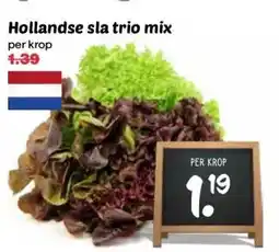 Boon`s Markt Hollandse sla trio mix aanbieding