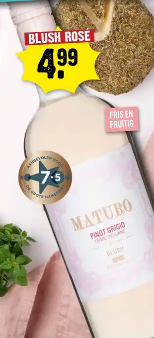 Dirck 3 Maturo Pinot Grigio aanbieding