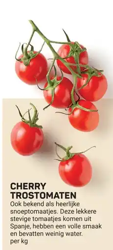 Ekoplaza Cherry trostomaten aanbieding
