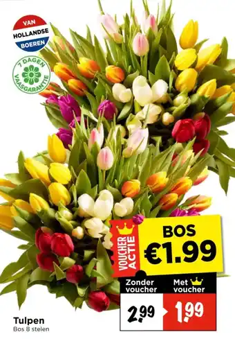 Vomar Voordeelmarkt Tulpen aanbieding