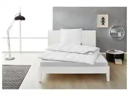Lidl Balette Donzen cassette dekbed Premium Selection aanbieding