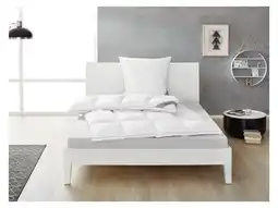 Lidl Balette Donzen cassette dekbed Premium Selection aanbieding