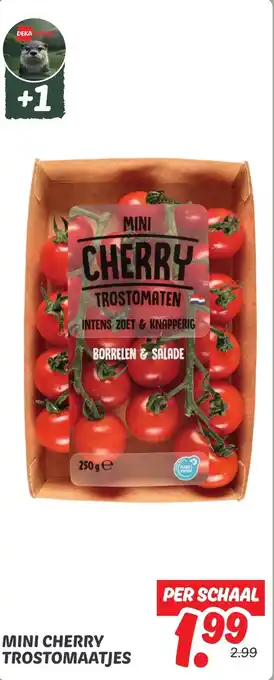 Dekamarkt Mini cherry trostomaatjes aanbieding