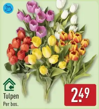 ALDI Tulpen aanbieding