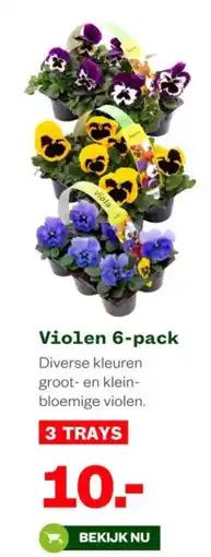 Welkoop Violen aanbieding