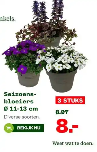 Welkoop Seizoens bloeiers aanbieding