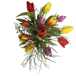 Albert Heijn AH Mix tulpen aanbieding
