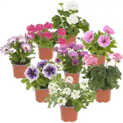 Albert Heijn AH Perkgoed mix & match p12 aanbieding