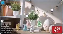 ALDI HOME CREATION Kunstplant aanbieding
