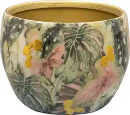 Intratuin TS bloempot Monstera groen D 9 H 7 cm aanbieding