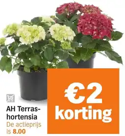 Albert Heijn AH Terras hortensia aanbieding