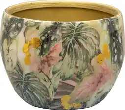 Intratuin TS bloempot Monstera groen D 7 H 6 cm aanbieding