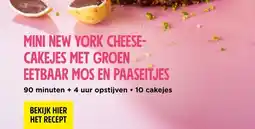 Jumbo Mini new york cheese- cakejes met groen eetbaar mos en paaseitjes aanbieding