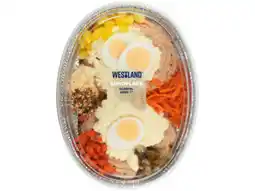 Hoogvliet Westland Rundvleesschotel aanbieding