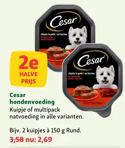 Maxi Zoo Cesar hondenvoeding aanbieding