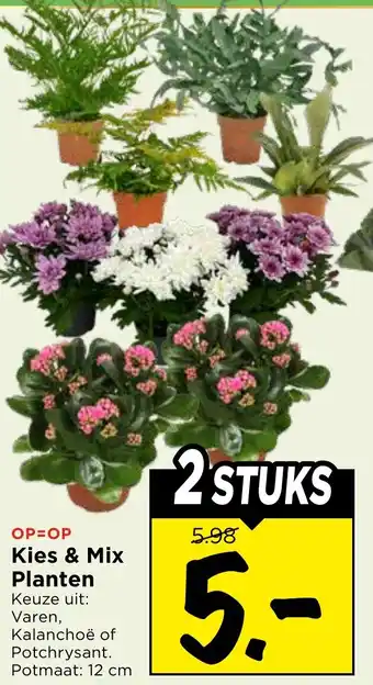 Vomar Voordeelmarkt Kies & Mix Planten aanbieding