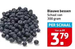 Hoogvliet Blauwe bessen aanbieding
