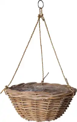 Intratuin Intratuin hangpot Antiek naturel D 40 H 20 cm aanbieding