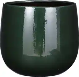 Intratuin Mica Decorations bloempot Palm Leaf groen D 29 H 25 cm aanbieding