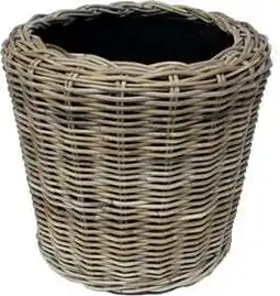 Intratuin Van der Leeden drymand rotan D 40 H 30 cm aanbieding