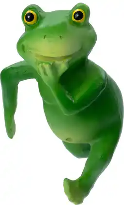 Intratuin Intratuin pothanger Kikker groen 6 x 6,5 x 9,5 cm aanbieding