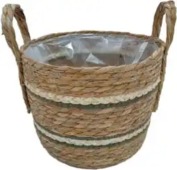 Intratuin Intratuin plantenmand Lemgro Gras naturel D 25 H 20 cm aanbieding