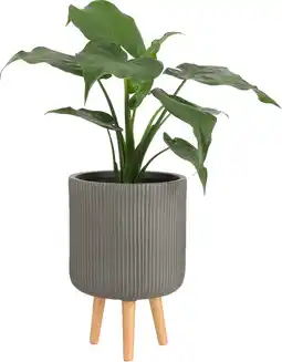 Intratuin Mica Decorations bloempot op poten Nuovo bruin D 30,5 H 46 cm aanbieding