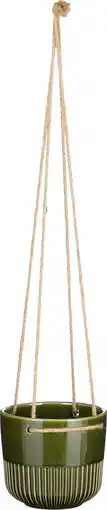 Intratuin Mica Decorations hangpot Primo groen D 17 H 16 cm aanbieding