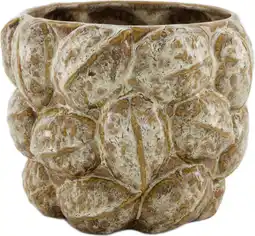 Intratuin Dijk Natural Collections bloempot Tropical Fruit beige D 16 H 12,5 cm aanbieding