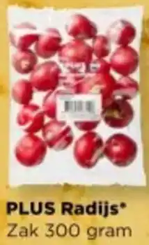 PLUS PLUS Radijs aanbieding