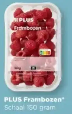PLUS PLUS Frambozen aanbieding