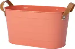 Intratuin Intratuin plantenteil Mavi oranje 29 x 16 x 15 cm aanbieding