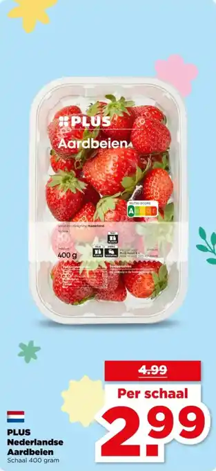 PLUS Plus Nederlandse Aardbeien aanbieding