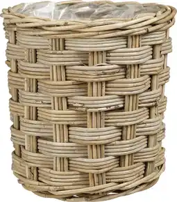 Intratuin Mica Decorations plantenmand Marcia naturel D 29 H 28 cm aanbieding