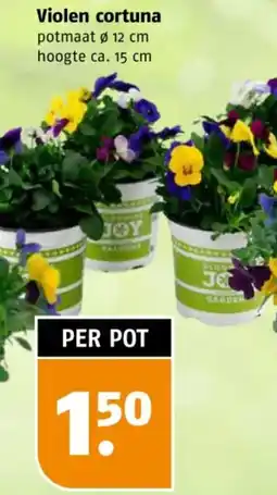 Poiesz Violen cortuna aanbieding