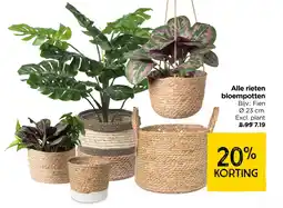Xenos Alle rieten bloempotten aanbieding