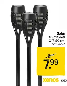 Xenos Solar tuinfakkel aanbieding