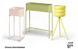 Xenos Diverse bloembakken aanbieding
