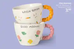 Xenos Mok bloemen aanbieding