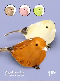 Xenos Vogel op clip aanbieding