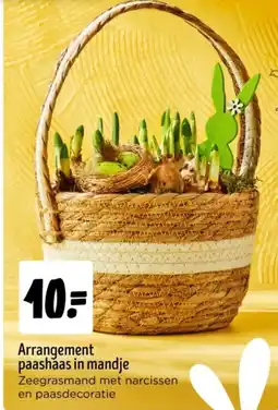 Jumbo Arrangement paashaas in mandje aanbieding