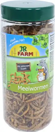 Intratuin JR Farm knaagdierensnack meelwormen 70 g aanbieding