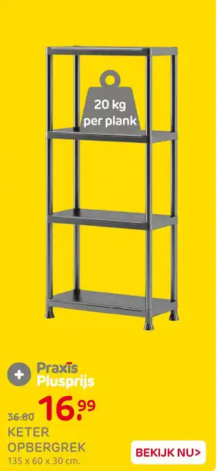 Praxis Keter opbergrek aanbieding