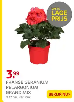 Praxis Franse geranium pelargonium grand mix aanbieding